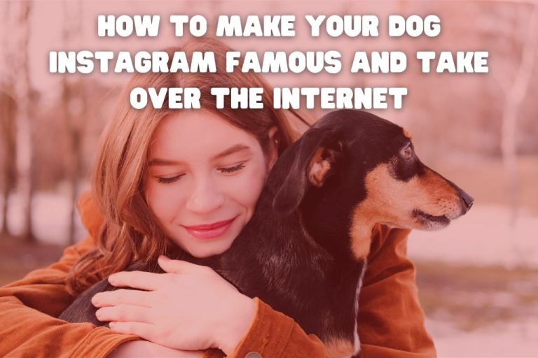 How To Make Your Dog Instagram Famous And Take Over The