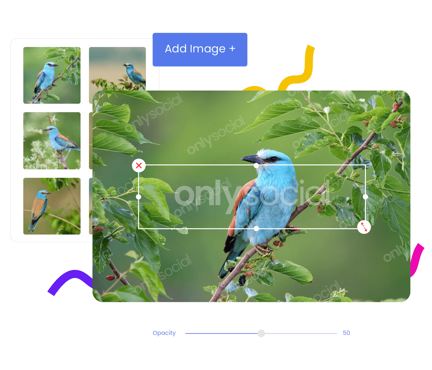 Automatically Watermark to your Instagram Post