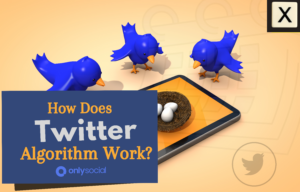 Understanding how Twitter algorithm works