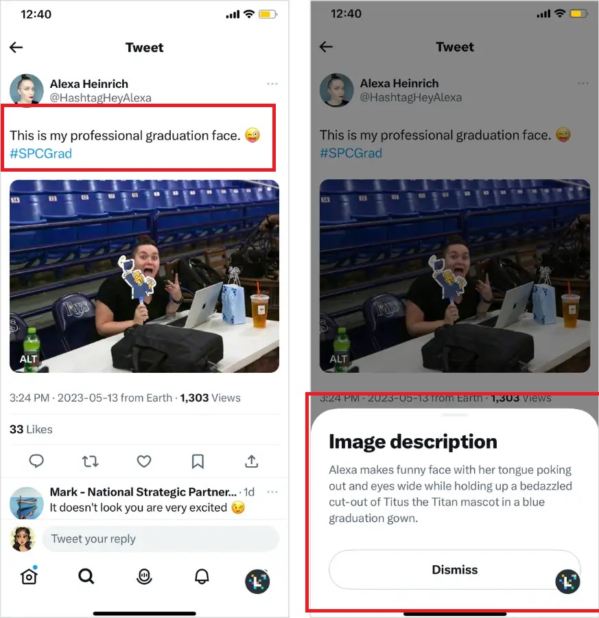 guide to alt text on social media