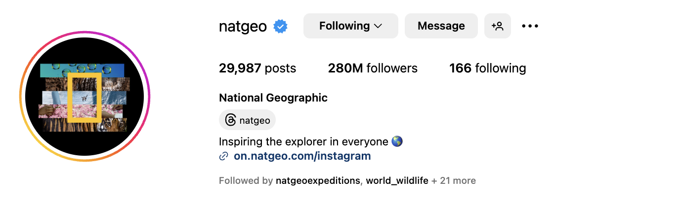 Instagram bio