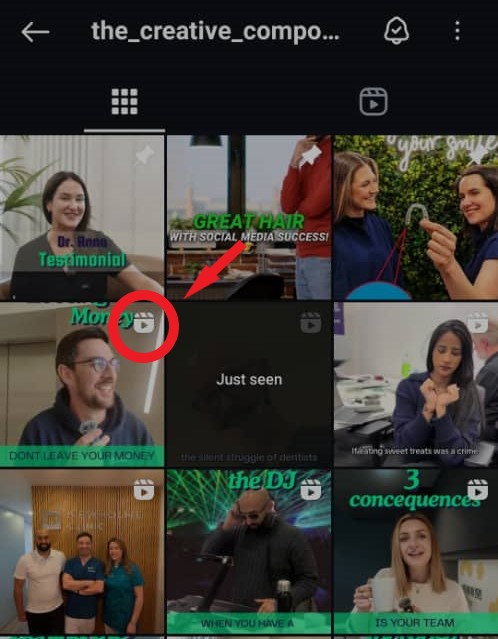 Instagram feed video